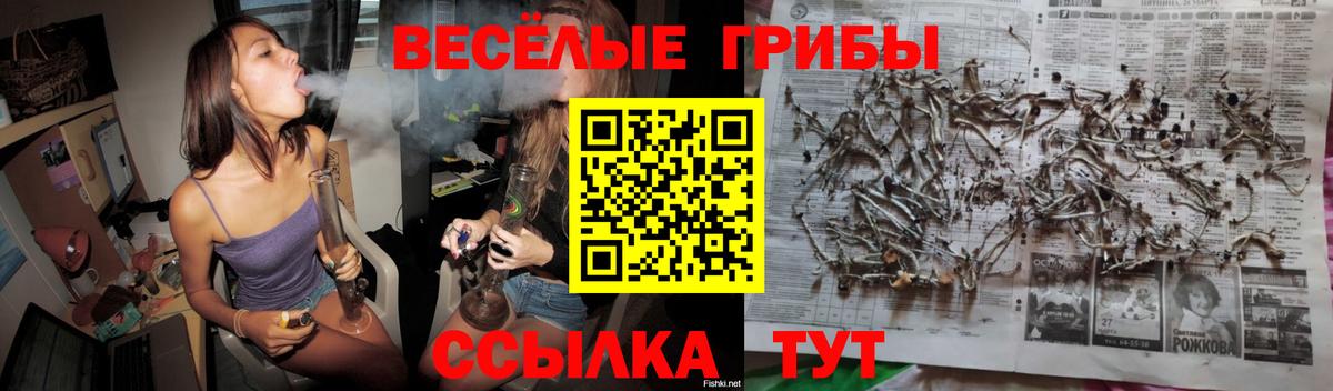 Галлюциногенные грибы MAGIC MUSHROOMS Усинск